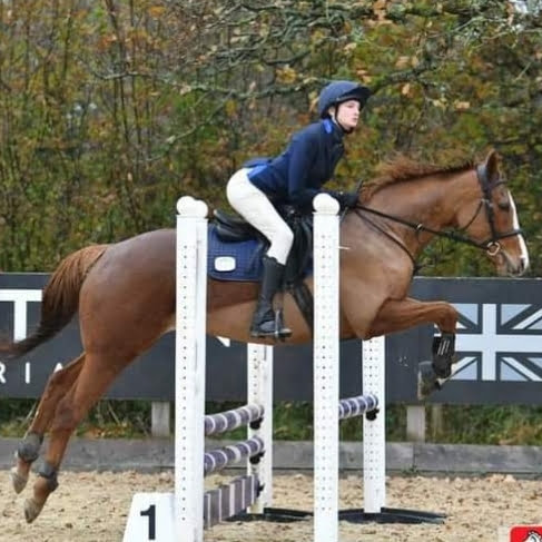 Daisy_jumping_horse